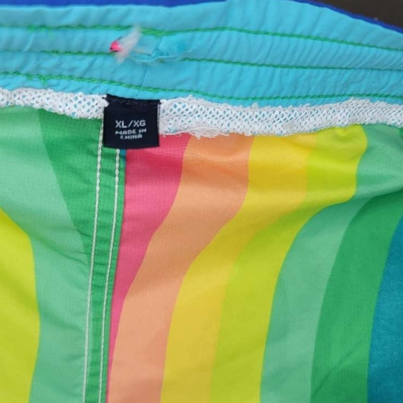 Tommy Hilfiger Premium Swim Trunks 🌈 - Picture 8 of 9